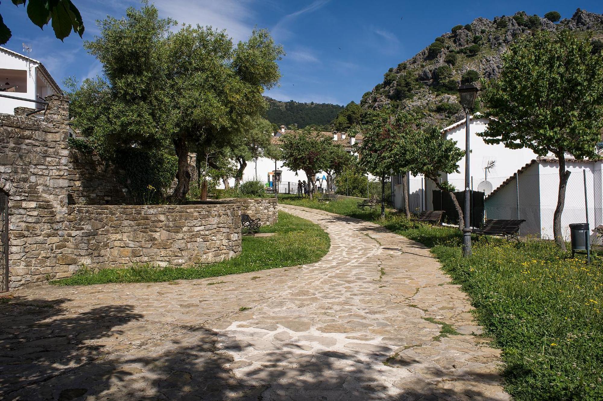 Casa Rural La Callejita Grazalema Εξωτερικό φωτογραφία